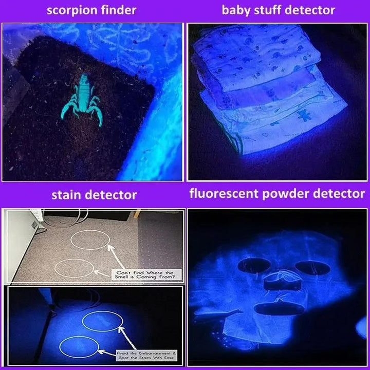 395 nm UV Torch with Zoom for Finding Pet Stains