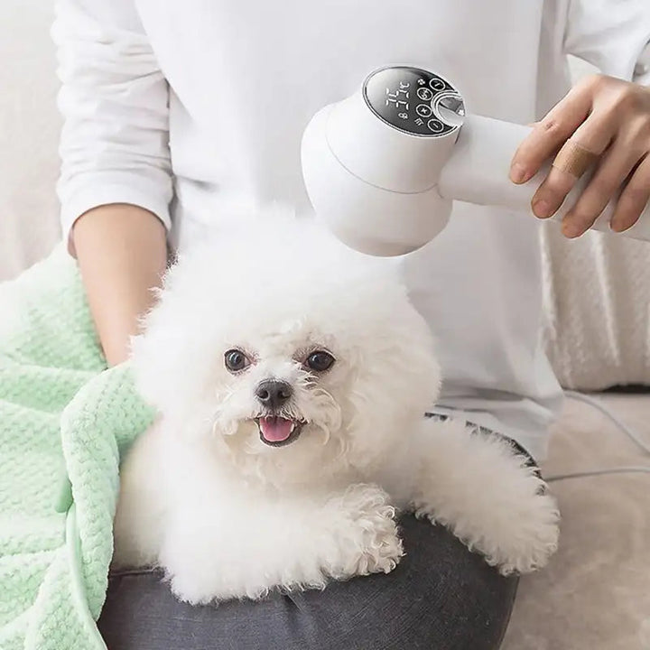2-in-1 Dog Hair Dryer with Slicker Brush and Quiet Airflow