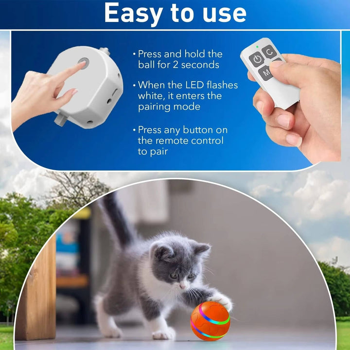 Remote Control Dog Ball with Motion Sensor and Lights