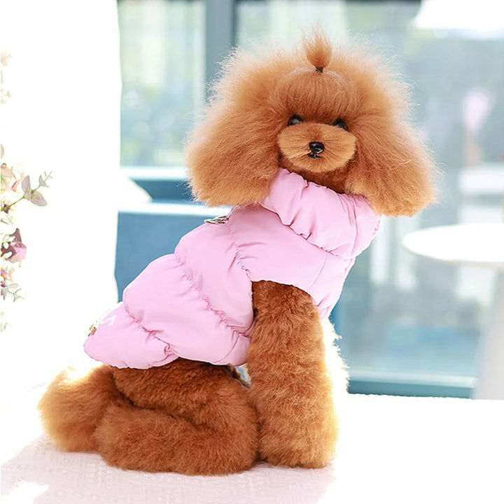 Cosy Dog Winter Jacket for Small and Medium Dogs, Snap Fastening