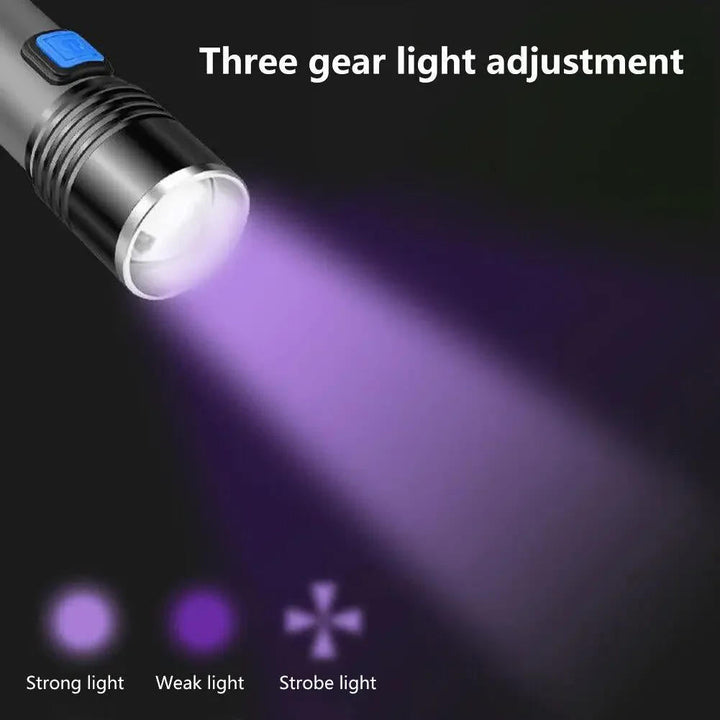 395 nm UV Torch with Zoom for Finding Pet Stains