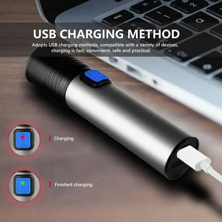 395 nm UV Torch with Zoom for Finding Pet Stains
