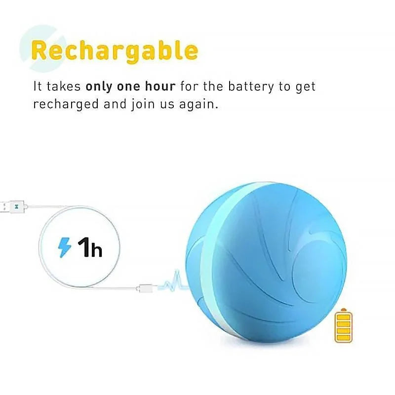 Interactive Motion Ball for Cats and Dogs, Rechargeable