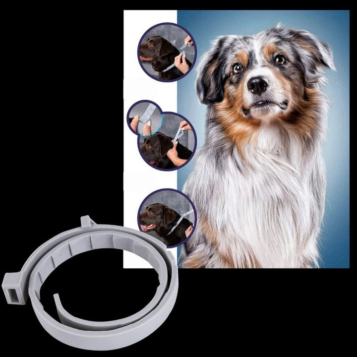 Flea and Tick Collar for Dogs and Cats with Adjustable Fit