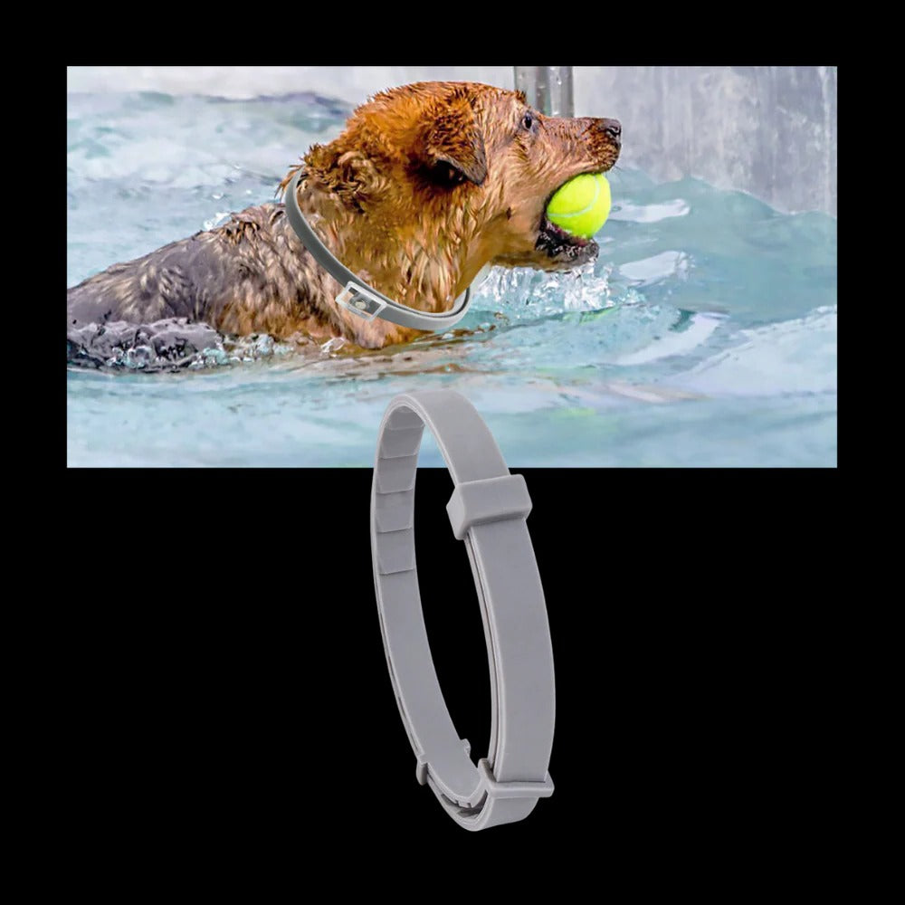 Flea and Tick Collar for Dogs and Cats with Adjustable Fit
