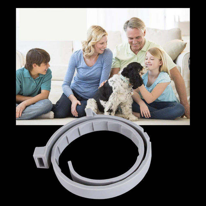 Flea and Tick Collar for Dogs and Cats with Adjustable Fit