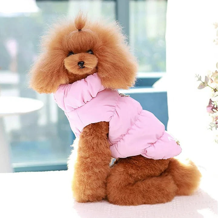 Fleece-Lined Winter Dog Jacket with Leash Ring and High Collar