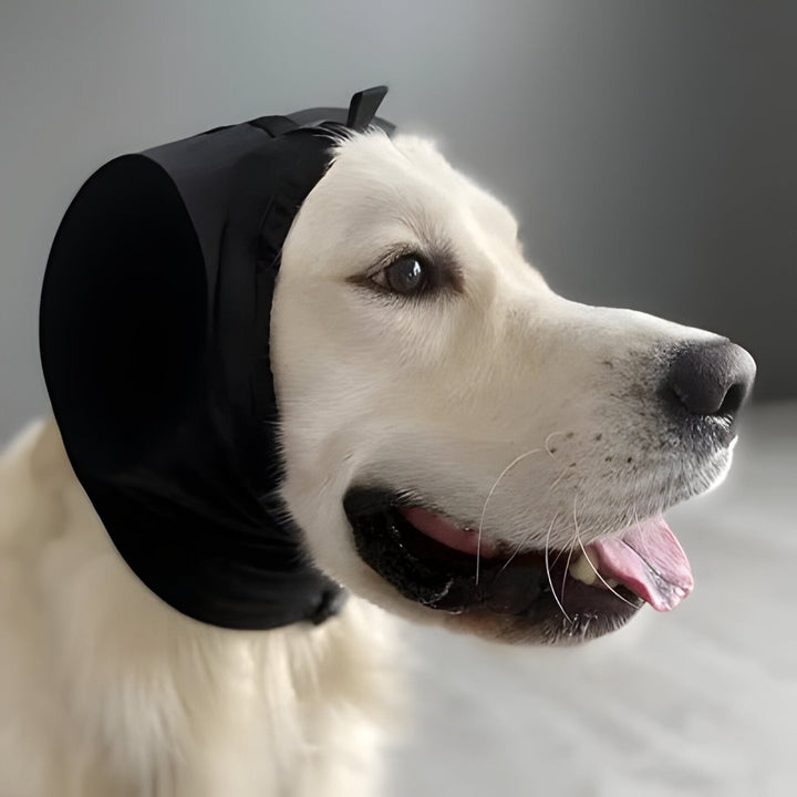Harwelton™ Dog Ear Muffs Hoodie for Noise Reduction and Winter Warmth