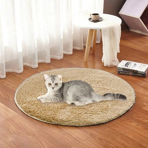 USB Heated Pet Pad with Even, Constant Warmth