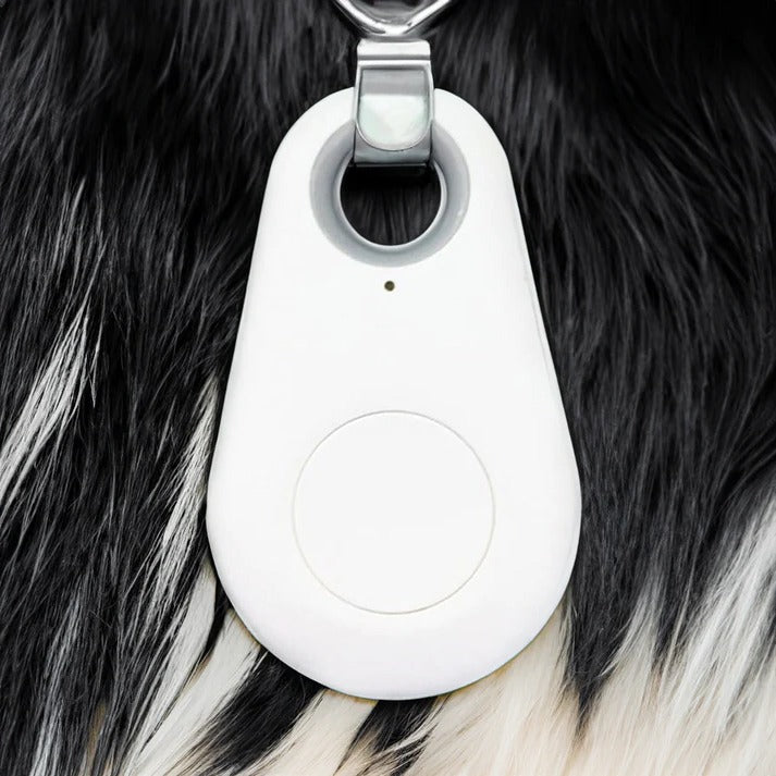 Bluetooth Pet Tracker with Find My Pet Beep and Safe Zones
