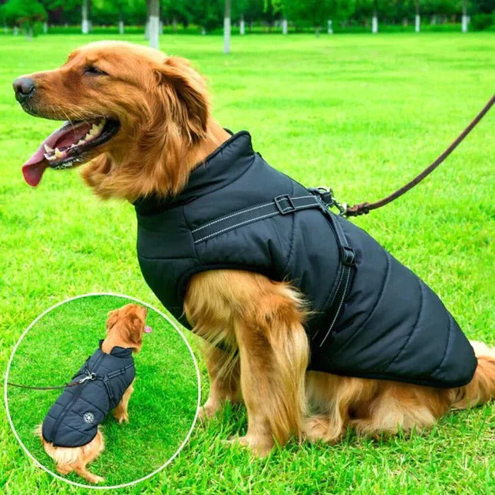 Waterproof Winter Dog Coat with Sherpa Lining and Built-in Harness