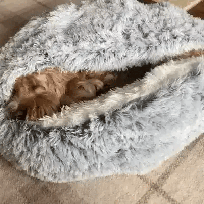 Calming Cave Dog Bed with Snug Hooded Nest Design