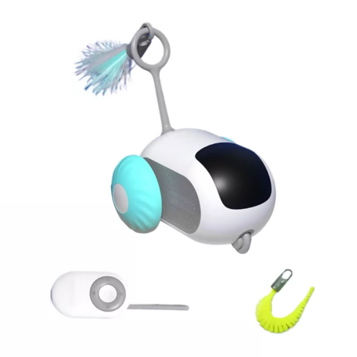 Remote Control Sports Car Cat Toy with USB Charging