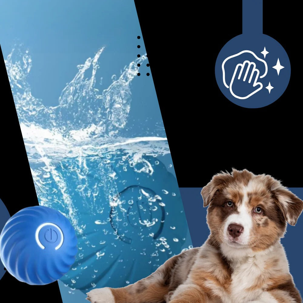 Self-Rolling Dog Ball with Obstacle Avoidance, Rechargeable