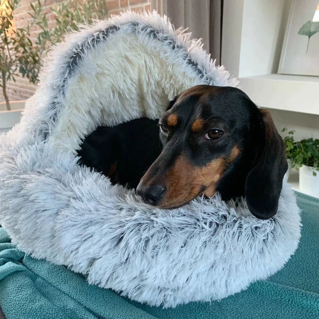 Calming Cave Dog Bed with Snug Hooded Nest Design