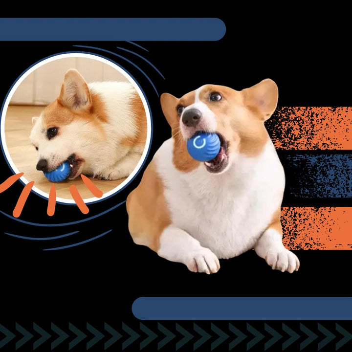 Self-Rolling Dog Ball with Obstacle Avoidance, Rechargeable