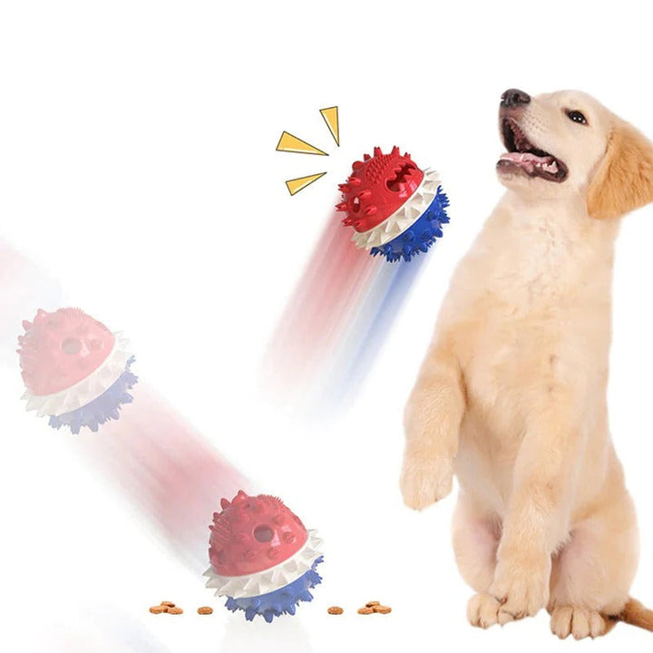 Self-Moving Pet Toy with Chew Bars and Rolling Balls