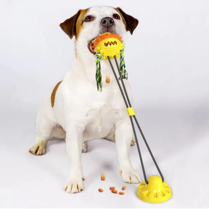 Self-Moving Pet Toy with Chew Bars and Rolling Balls