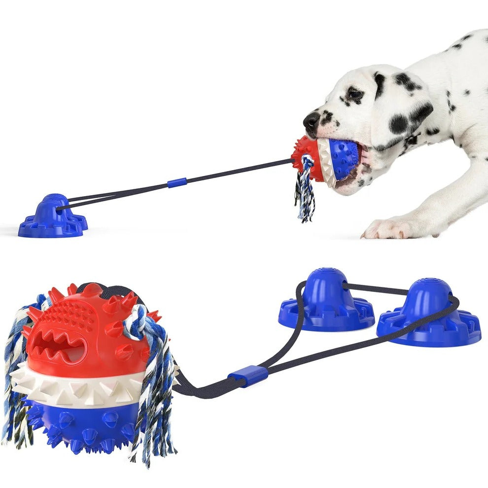 Self-Moving Pet Toy with Chew Bars and Rolling Balls