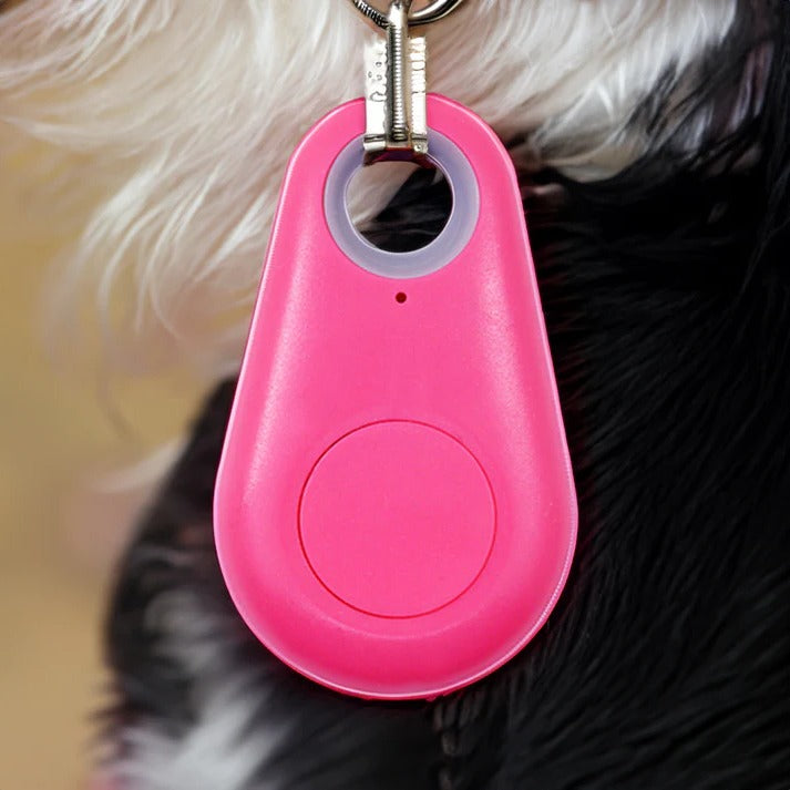 Bluetooth Pet Tracker with Find My Pet Beep and Safe Zones