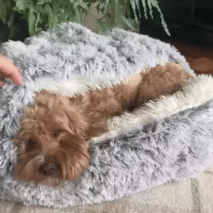 Calming Cave Dog Bed with Snug Hooded Nest Design