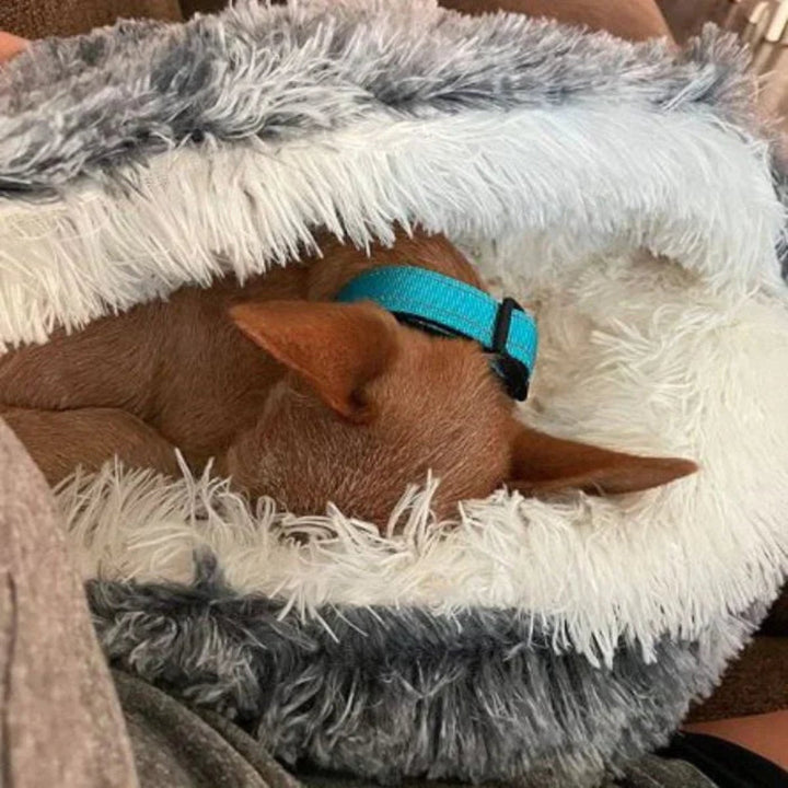 Calming Cave Dog Bed with Snug Hooded Nest Design