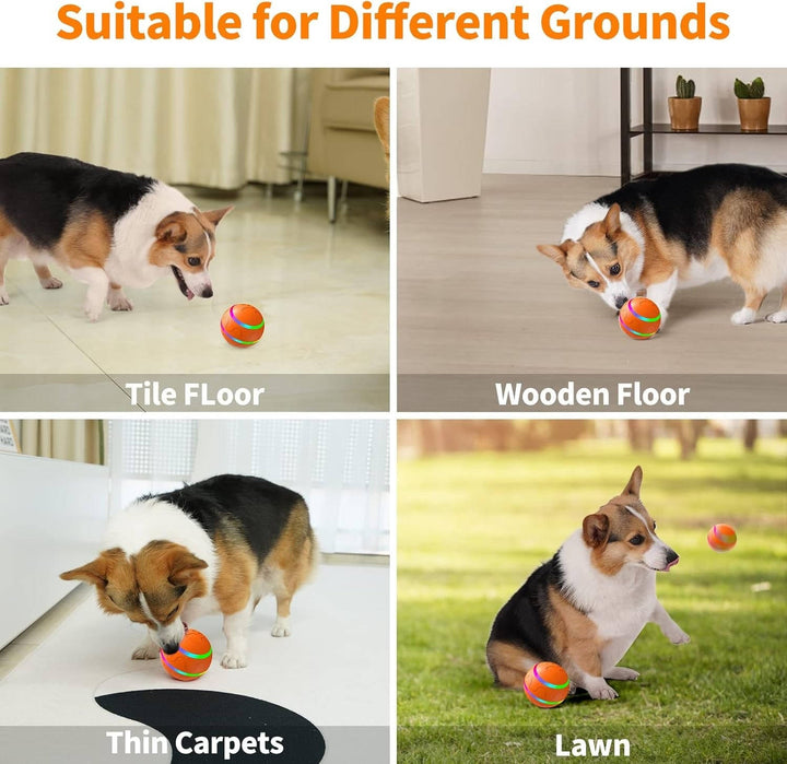 Remote Control Dog Ball with Motion Sensor and Lights
