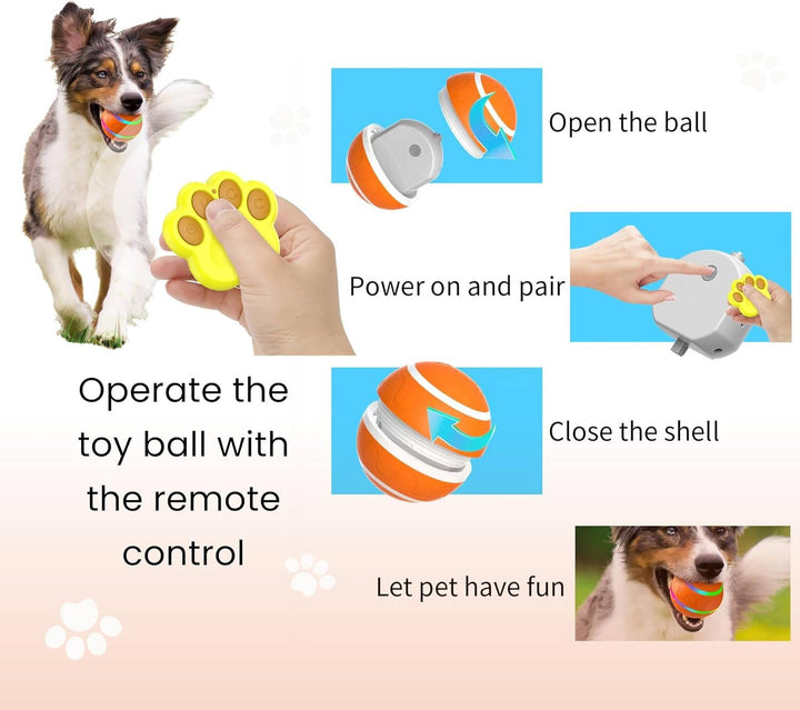 Remote Control Dog Ball with Motion Sensor and Lights