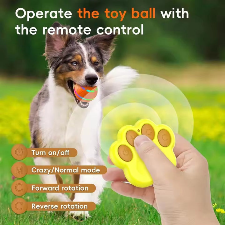 Remote Control Dog Ball with Motion Sensor and Lights