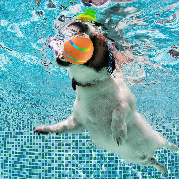 Remote Control Dog Ball with Motion Sensor and Lights