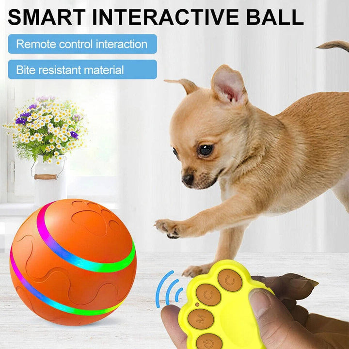 Remote Control Dog Ball with Motion Sensor and Lights
