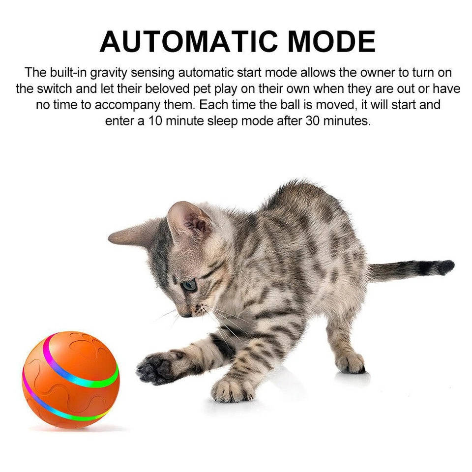 Remote Control Dog Ball with Motion Sensor and Lights