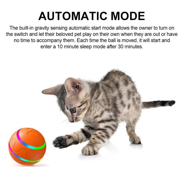 Remote Control Dog Ball with Motion Sensor and Lights