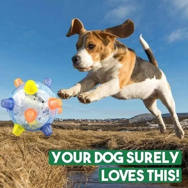 Harwelton™ Interactive LED Jumping Ball for Dogs with Sound and Wiggle