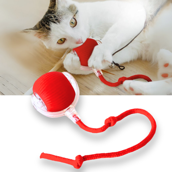 Harwelton™ Self-Rolling Cat Toy Ball with Playful Rope Tail