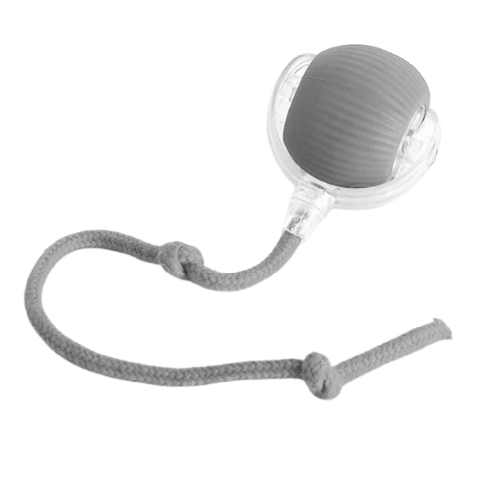 Harwelton™ Self-Rolling Cat Toy Ball with Playful Rope Tail