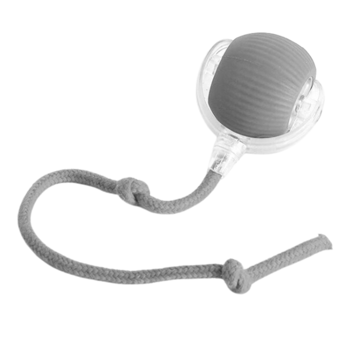 Harwelton™ Self-Rolling Cat Toy Ball with Playful Rope Tail