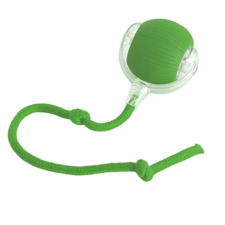 Harwelton™ Self-Rolling Cat Toy Ball with Playful Rope Tail