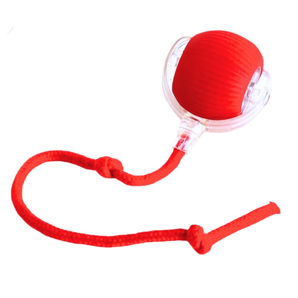 Harwelton™ Self-Rolling Cat Toy Ball with Playful Rope Tail