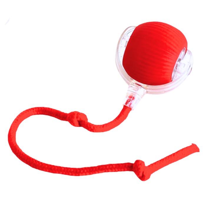 Harwelton™ Self-Rolling Cat Toy Ball with Playful Rope Tail