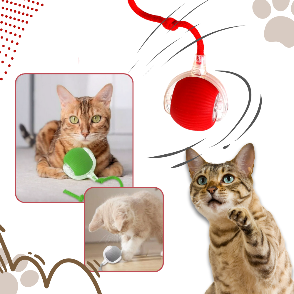 Harwelton™ Self-Rolling Cat Toy Ball with Playful Rope Tail