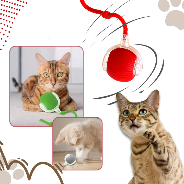 Harwelton™ Self-Rolling Cat Toy Ball with Playful Rope Tail