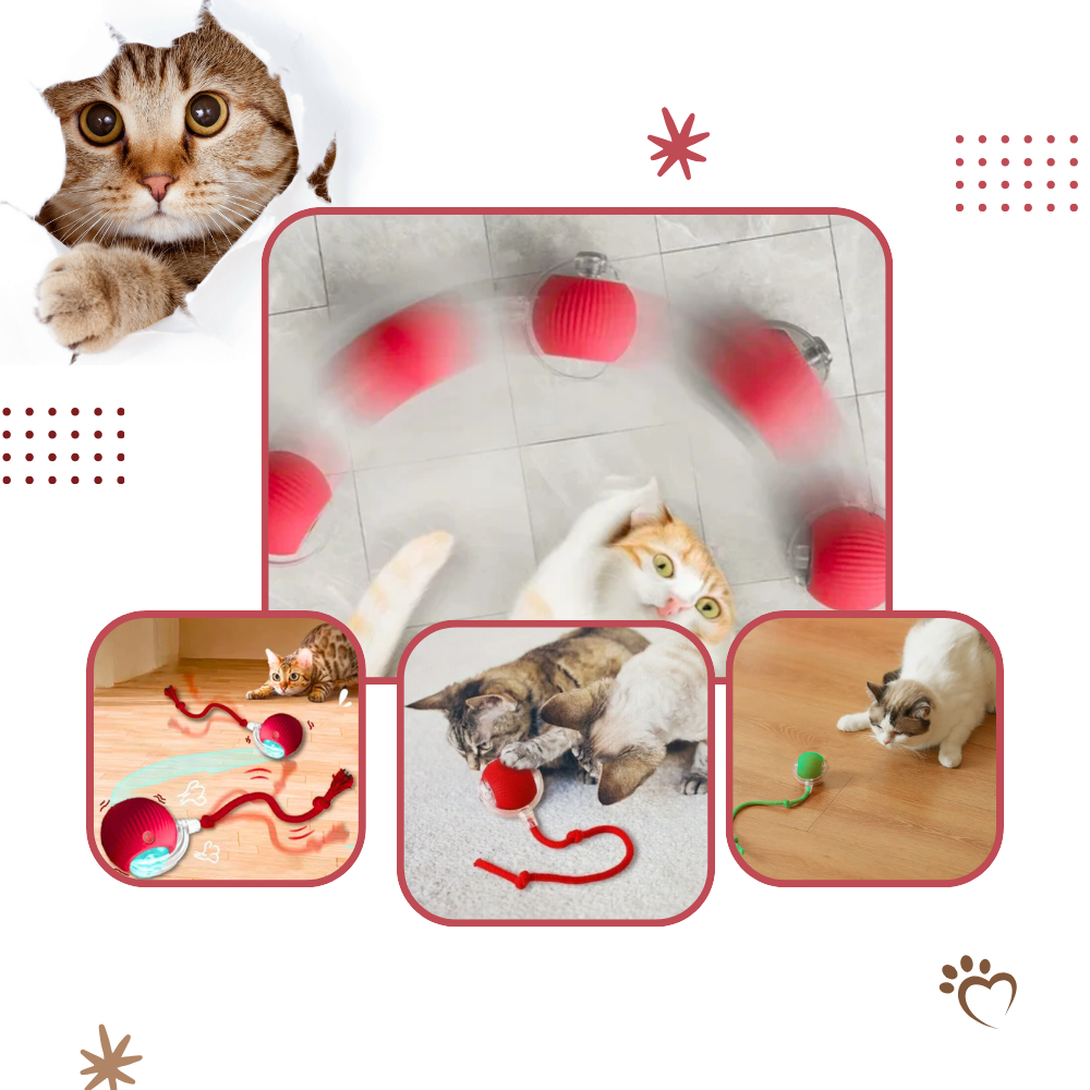Harwelton™ Self-Rolling Cat Toy Ball with Playful Rope Tail