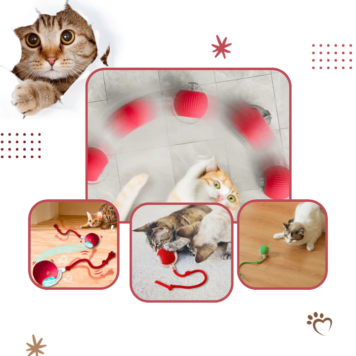 Harwelton™ Self-Rolling Cat Toy Ball with Playful Rope Tail