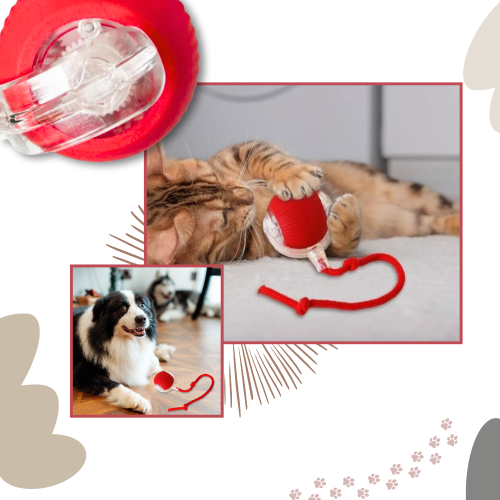 Harwelton™ Self-Rolling Cat Toy Ball with Playful Rope Tail