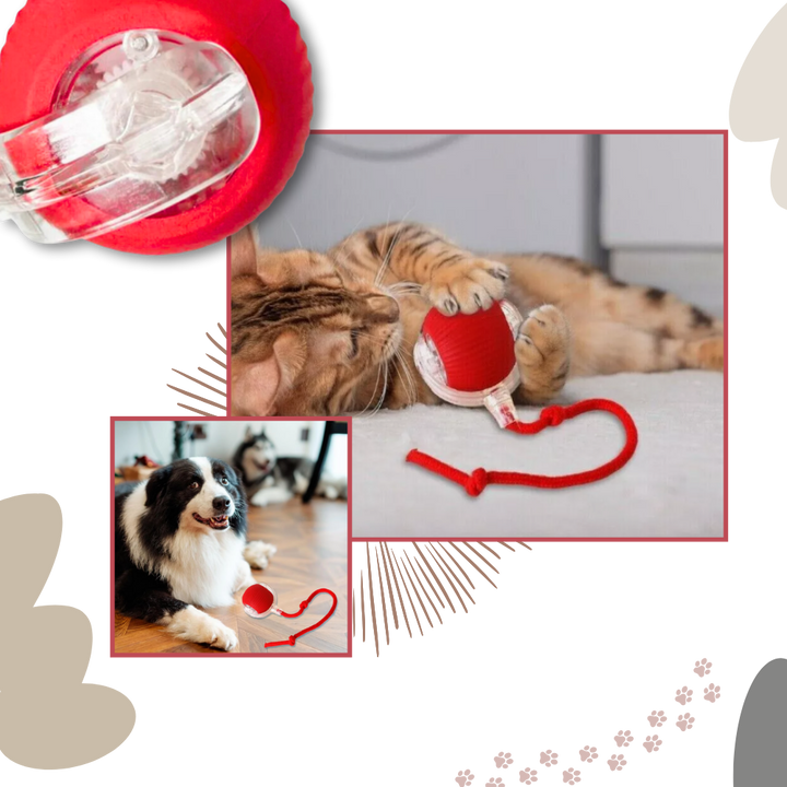 Harwelton™ Self-Rolling Cat Toy Ball with Playful Rope Tail