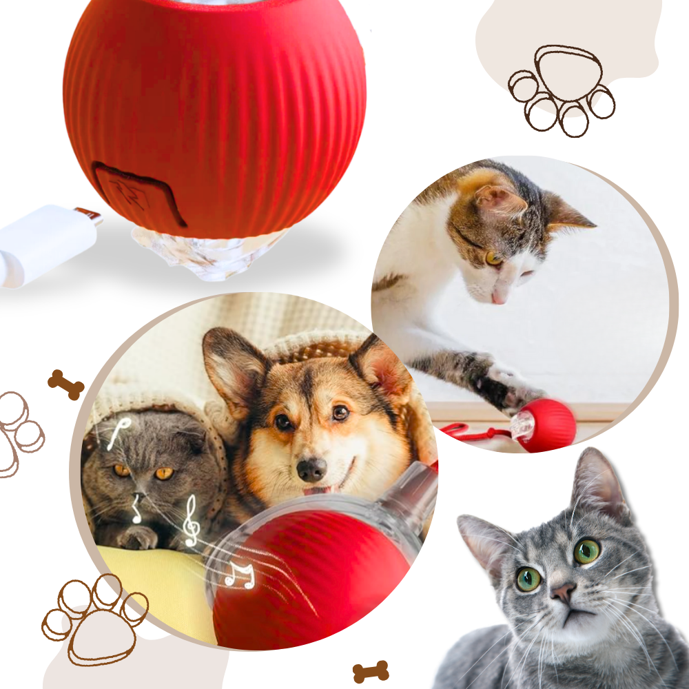 Harwelton™ Self-Rolling Cat Toy Ball with Playful Rope Tail