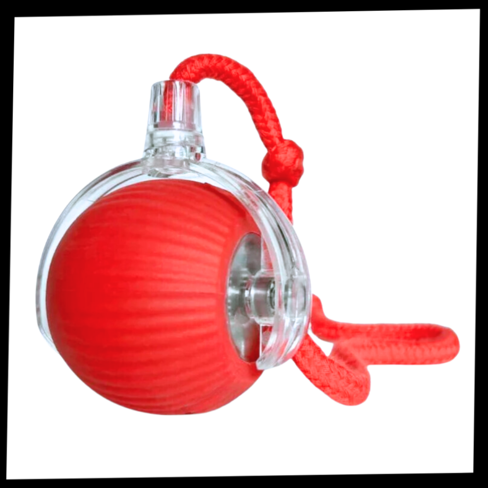 Harwelton™ Self-Rolling Cat Toy Ball with Playful Rope Tail