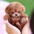 Harwelton™ Interactive Robot Puppy Toy That Walks, Barks and Wags Its Tail