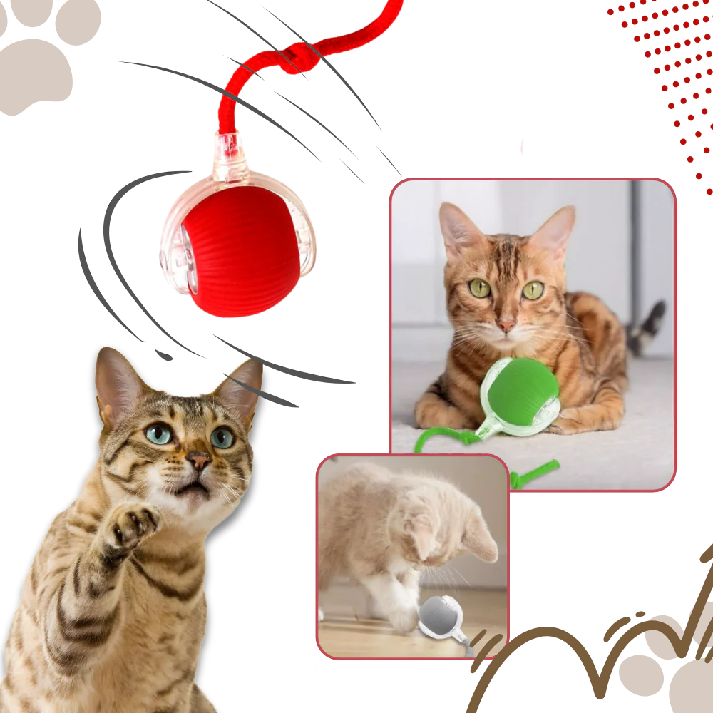 Harwelton™ Smart Interactive Cat Ball That Rolls and Avoids Obstacles